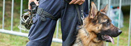 Partenariat entre la Gendarmerie nationale et la SPA
