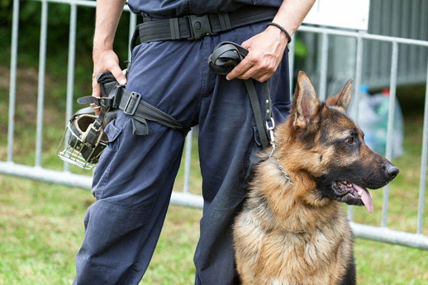 Gendarmerie nationale