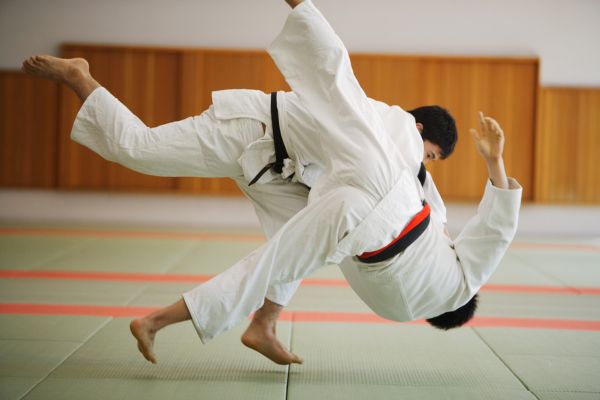 judo