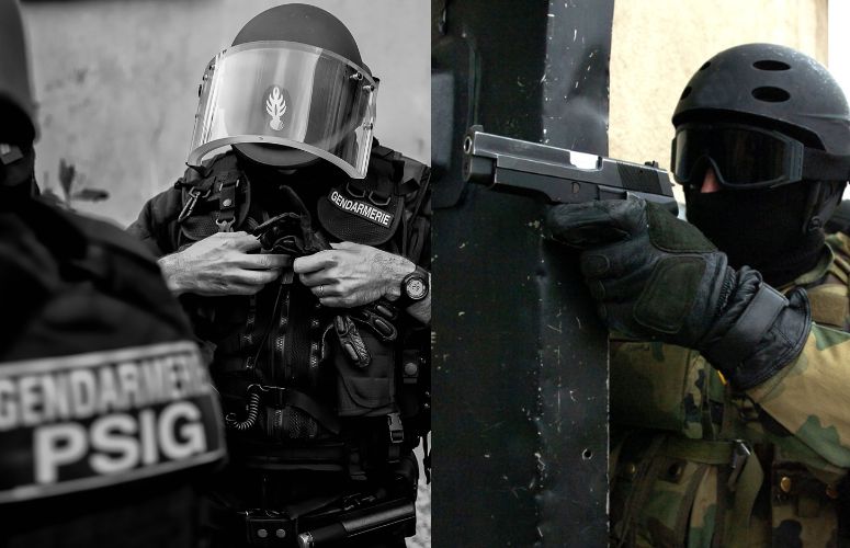 diffrences entre le psig et le gign